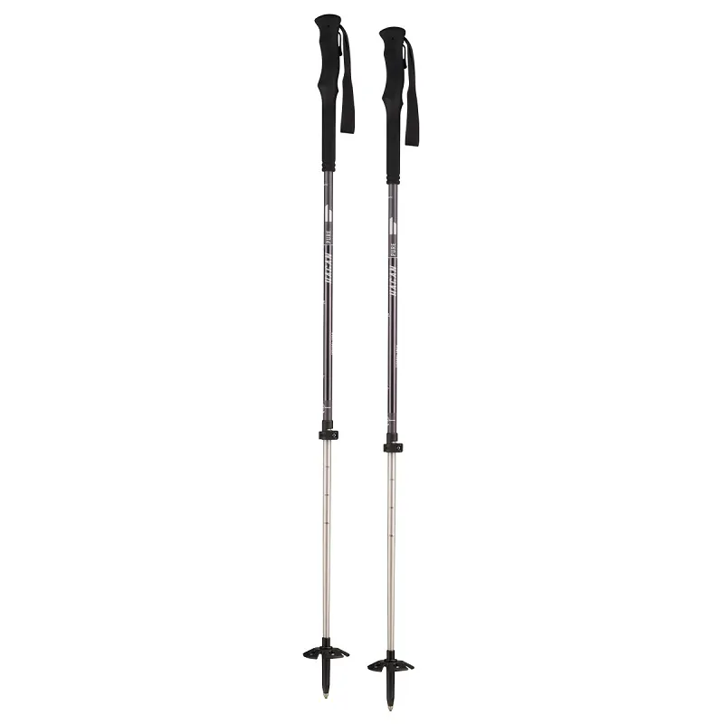 Hagan Pure 2 Piece Ski Touring Poles